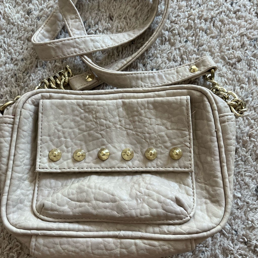 Sole Society Beige Crossbody Bag With Gold Details